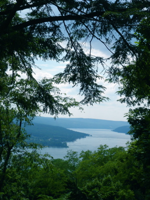 dsc01814.jpg