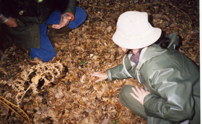 mushrooming.jpg