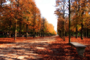 autumn