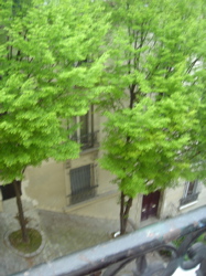 dsc04212.jpg