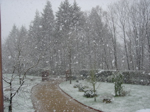 snow.jpg
