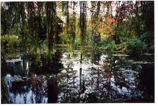 monets-garden.JPG