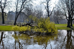 amsterdam-spring