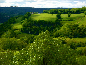 dsc00361.JPG