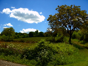 dsc00407.JPG