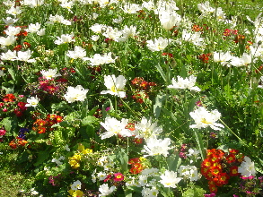 dsc01020.JPG