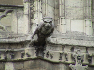 dsc02779.JPG