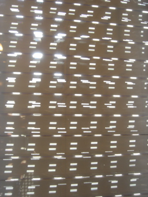 dsc01536.jpg