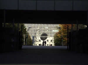 dsc03031.jpg