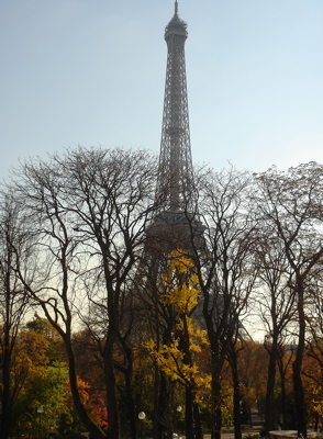dsc03107.jpg