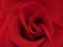 dsc03355.jpg