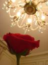dsc03366.jpg