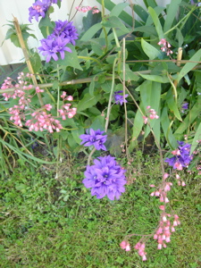 dsc01466.JPG