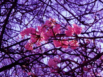 dsc03586.jpg