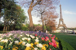 spring