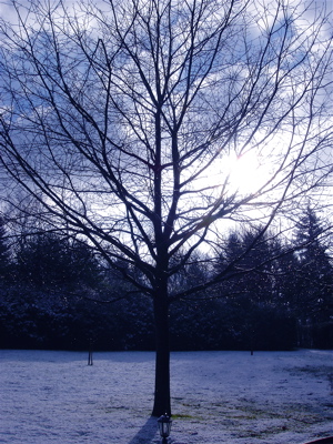 dsc03804.JPG