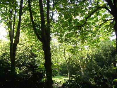 dsc01152.jpg