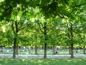 dsc00292.jpg