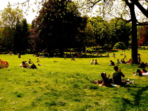 dsc04375.jpg