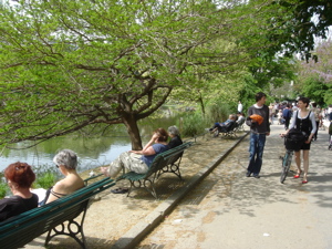 dsc04401.JPG