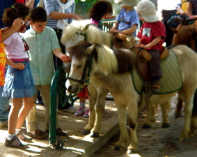dsc04404.jpg