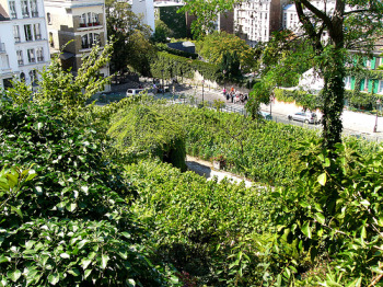 vineyard3