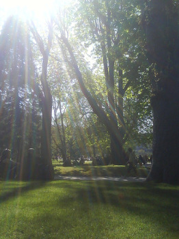 sunlight